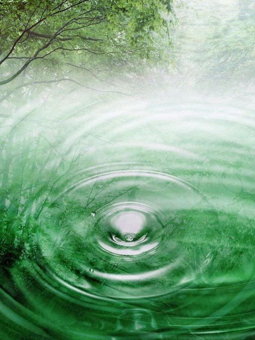 Психолог Якушева Н.